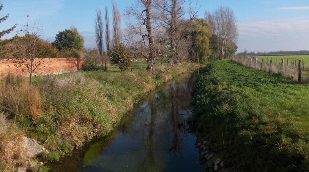 Ziethe river in Kleinpascleben (Osternienburger Land, Anhalt-Bitterfeld district, Saxony-Anhalt)