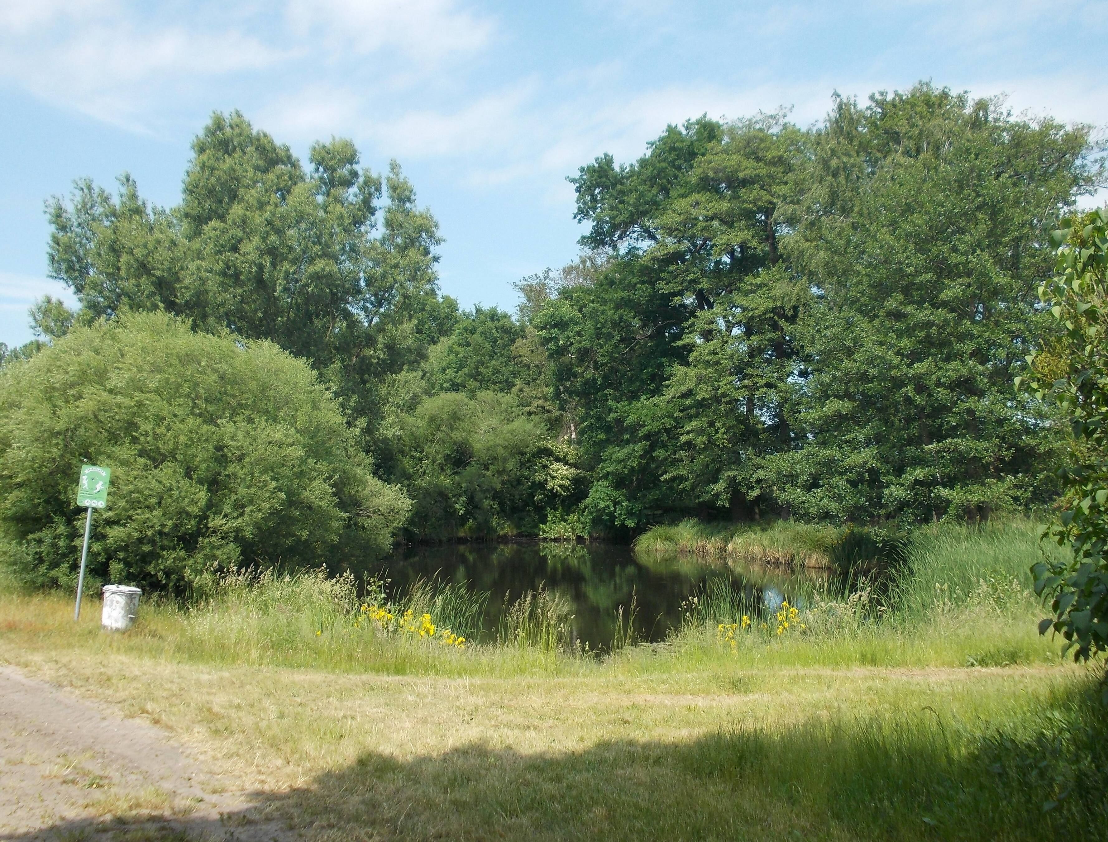 Pond in Chörau (Osternienburger Land, Anhalt-Bitterfeld district, Saxony-Anhalt)