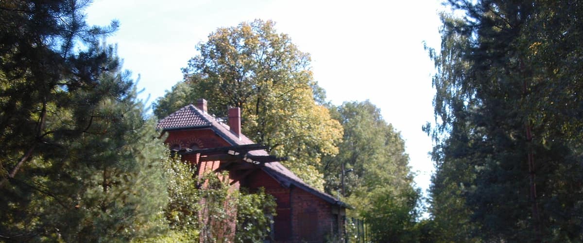 A rustic wooden house surrounded by dense forest.