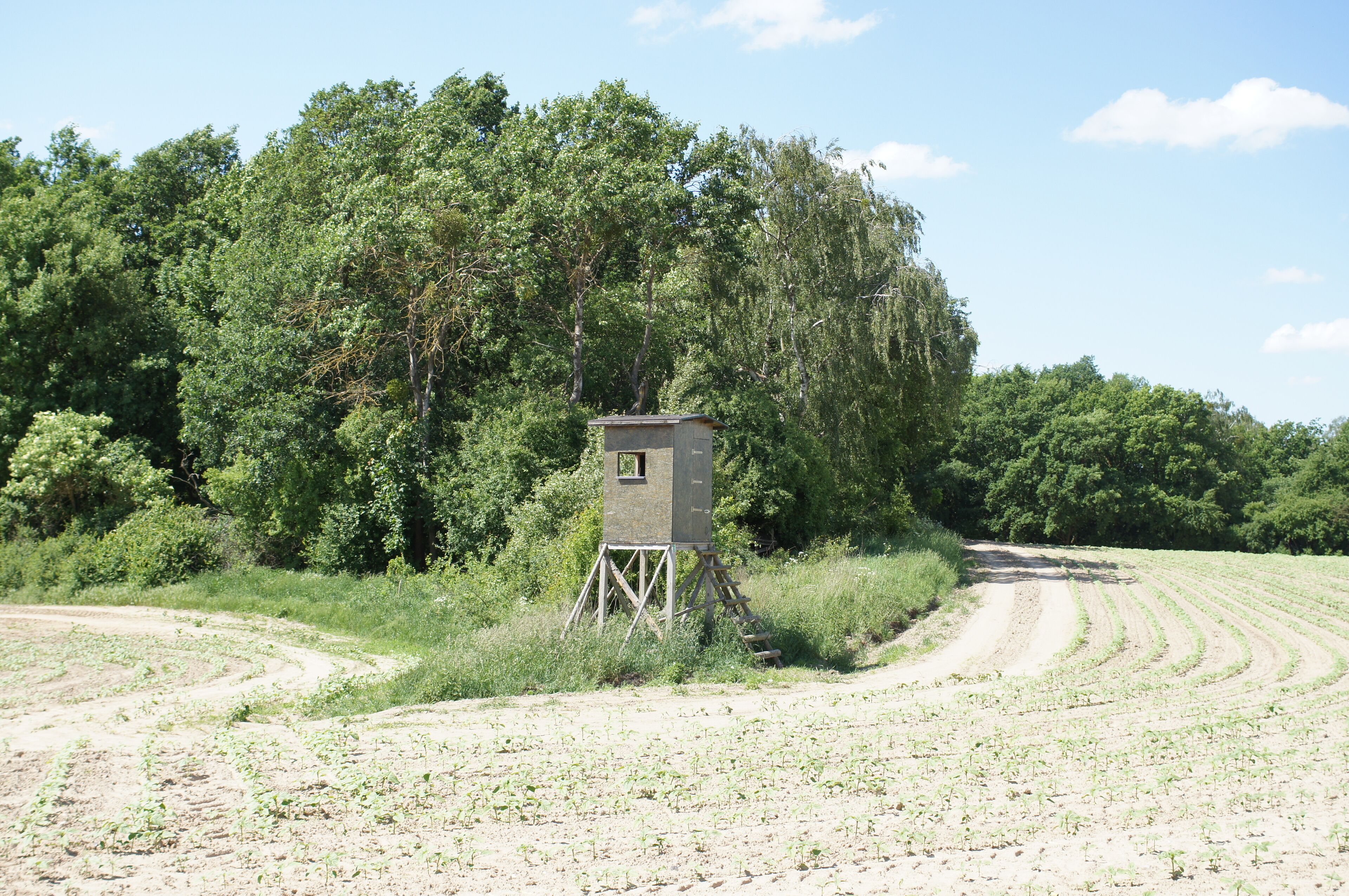 Naturschutzgebiet Leuenberger Soll in Leuenberg, Landkreis Märkisch-Oderland, Brandenburg, Deutschland. Kennung: 1096