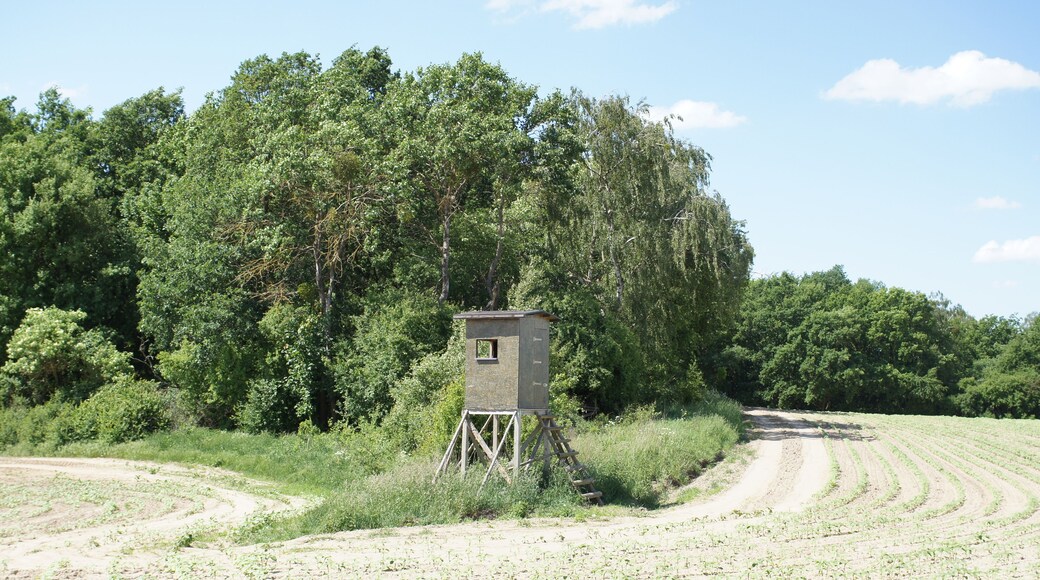 Naturschutzgebiet Leuenberger Soll in Leuenberg, Landkreis Mรคrkisch-Oderland, Brandenburg, Deutschland. Kennung: 1096