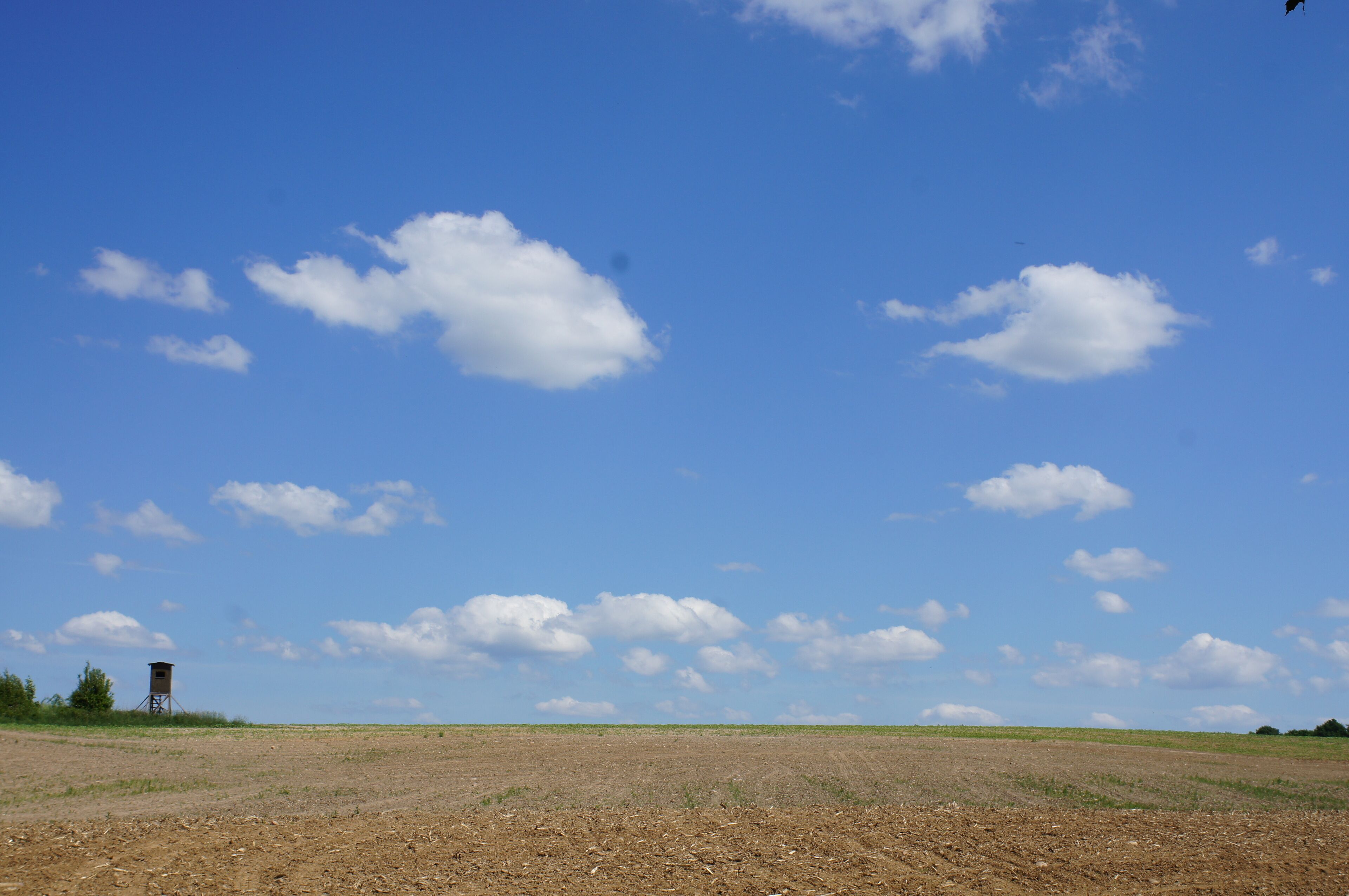 Naturschutzgebiet Leuenberger Soll in Leuenberg, Landkreis Märkisch-Oderland, Brandenburg, Deutschland. Kennung: 1096
