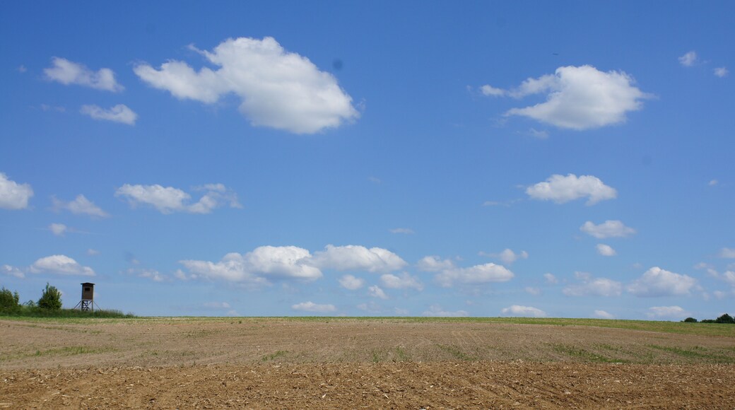 Naturschutzgebiet Leuenberger Soll in Leuenberg, Landkreis Mรคrkisch-Oderland, Brandenburg, Deutschland. Kennung: 1096