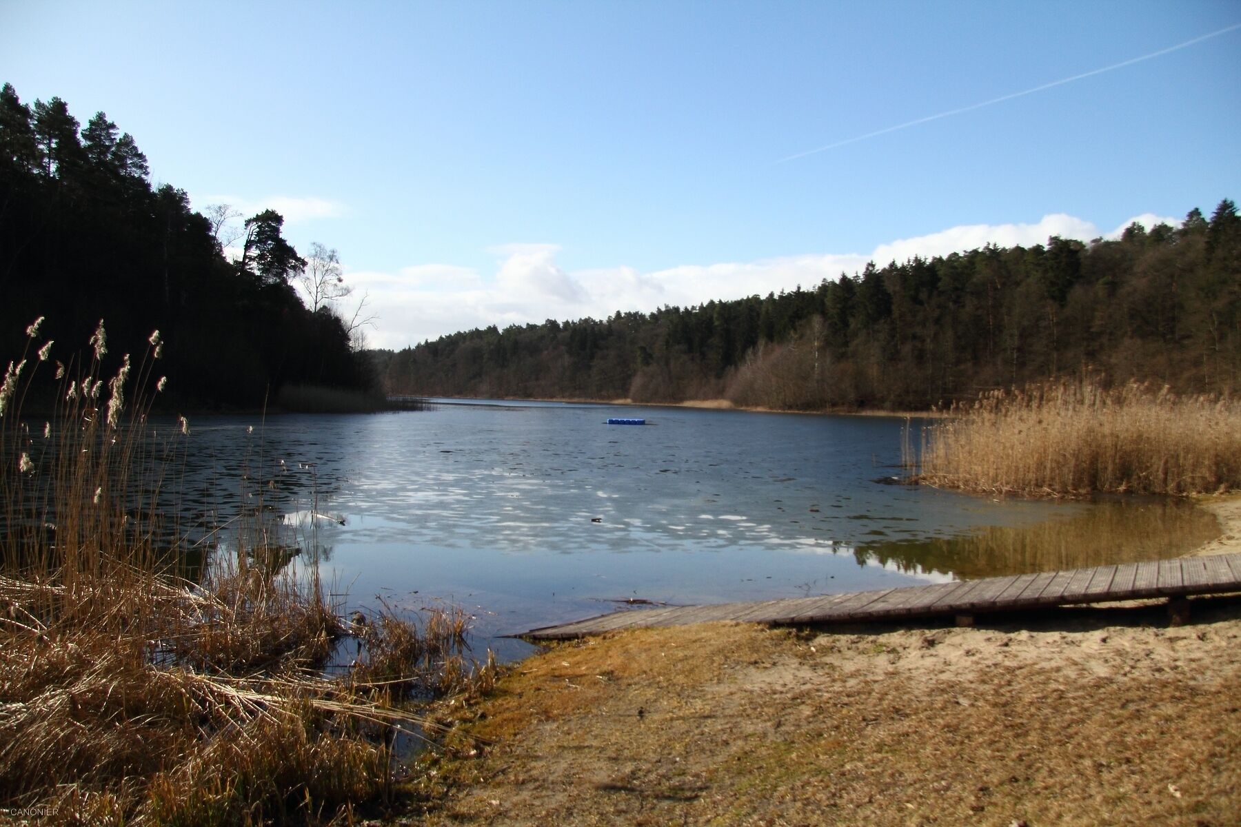 A calm lake with a wooden dock, surrounded by tall grasses and dense forest.