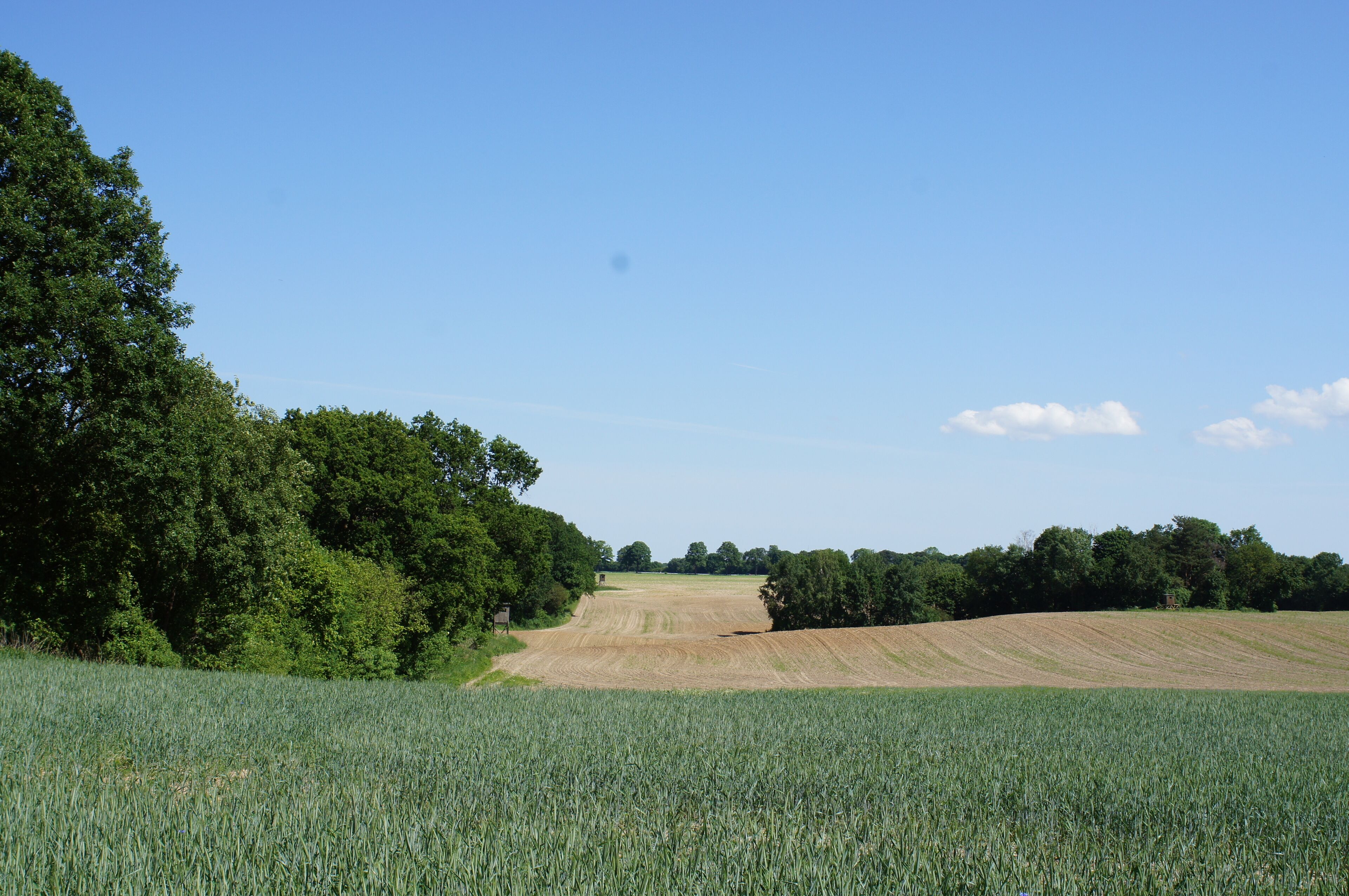 Naturschutzgebiet Leuenberger Soll in Leuenberg, Landkreis Märkisch-Oderland, Brandenburg, Deutschland. Kennung: 1096