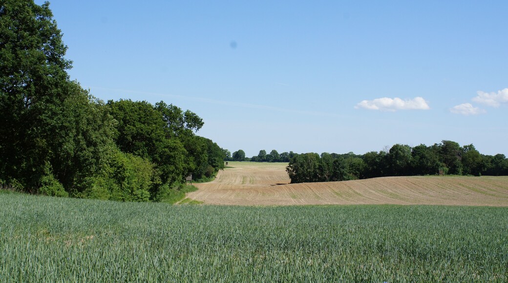 Naturschutzgebiet Leuenberger Soll in Leuenberg, Landkreis Märkisch-Oderland, Brandenburg, Deutschland. Kennung: 1096