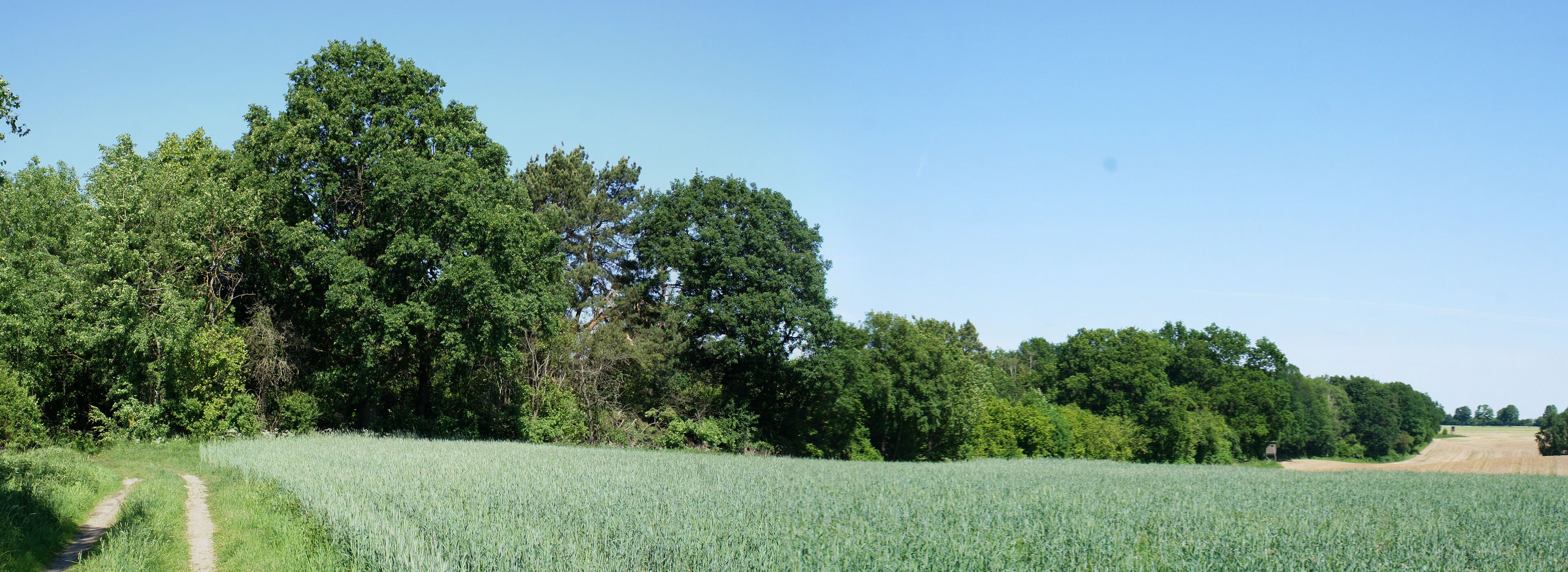 Naturschutzgebiet Leuenberger Soll in Leuenberg, Landkreis Märkisch-Oderland, Brandenburg, Deutschland. Kennung: 1096