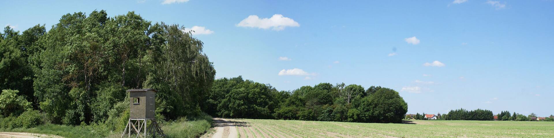 Naturschutzgebiet Leuenberger Soll in Leuenberg, Landkreis Märkisch-Oderland, Brandenburg, Deutschland. Kennung: 1096