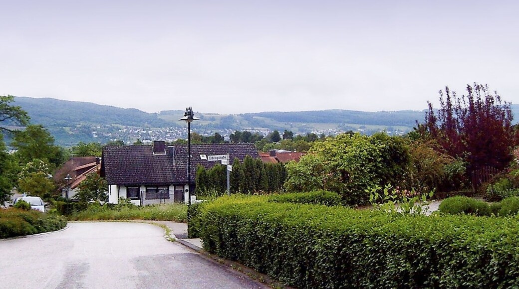 74934 Reichartshausen, Germany