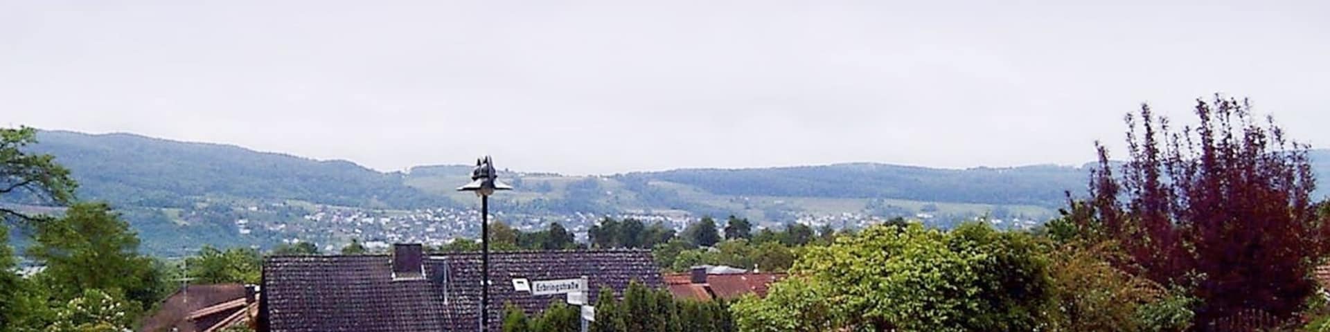 74934 Reichartshausen, Germany