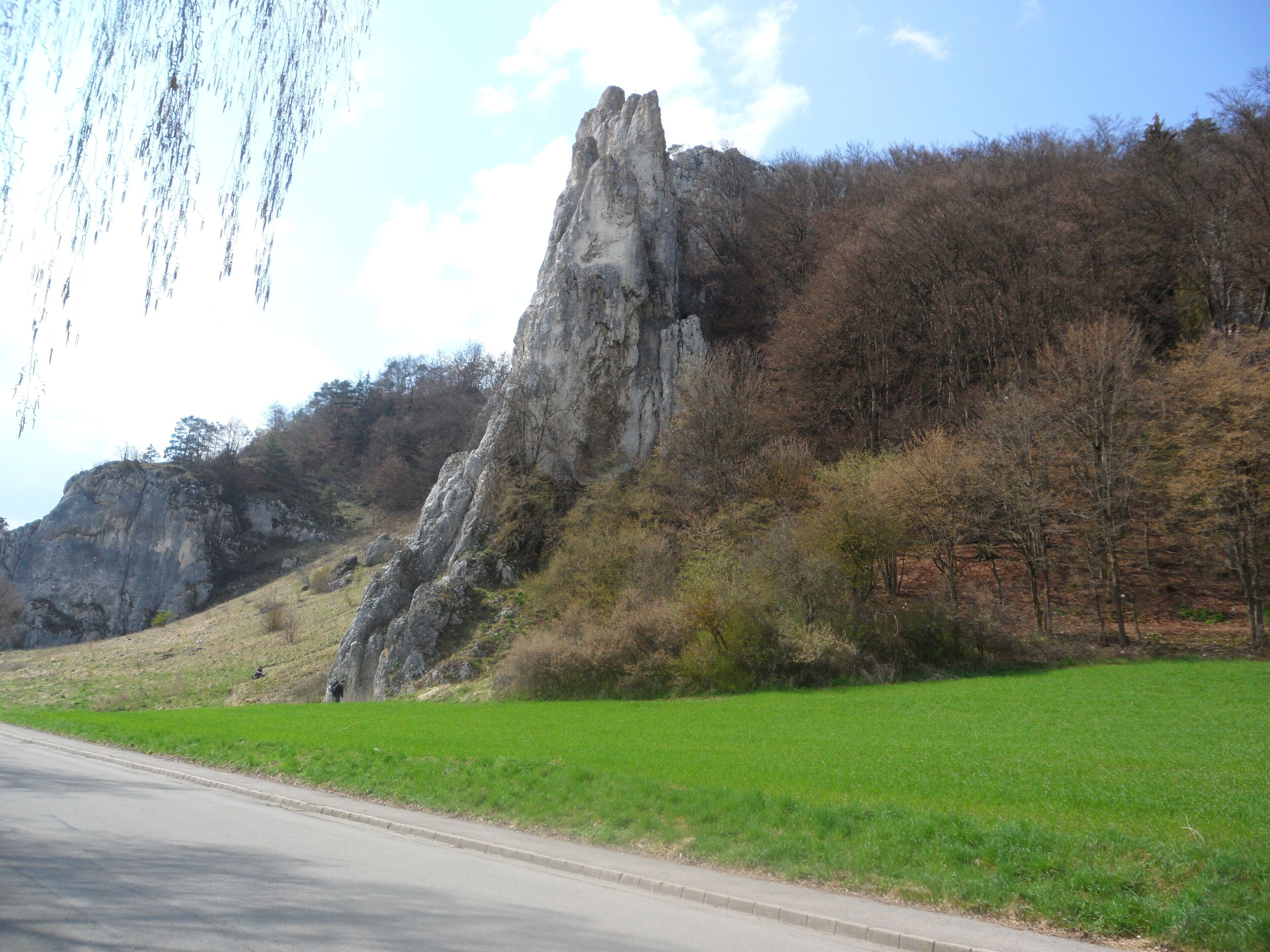 Dohlenfelsen (Wellheim)