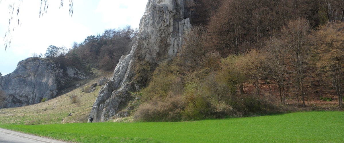 Dohlenfelsen (Wellheim)