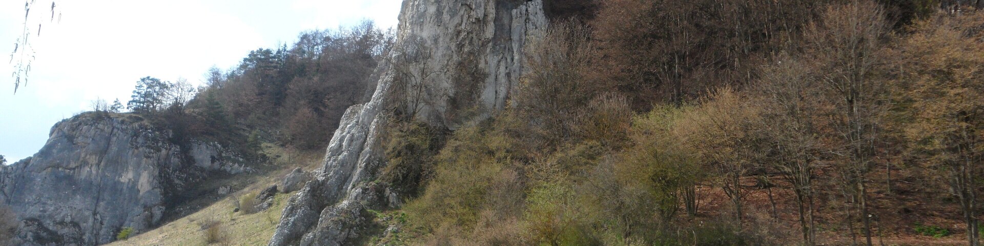 Dohlenfelsen (Wellheim)