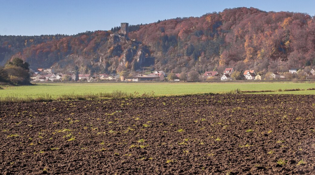 Wellheimer Trockental, Geotop, Naturpark undLSG Altmühltal