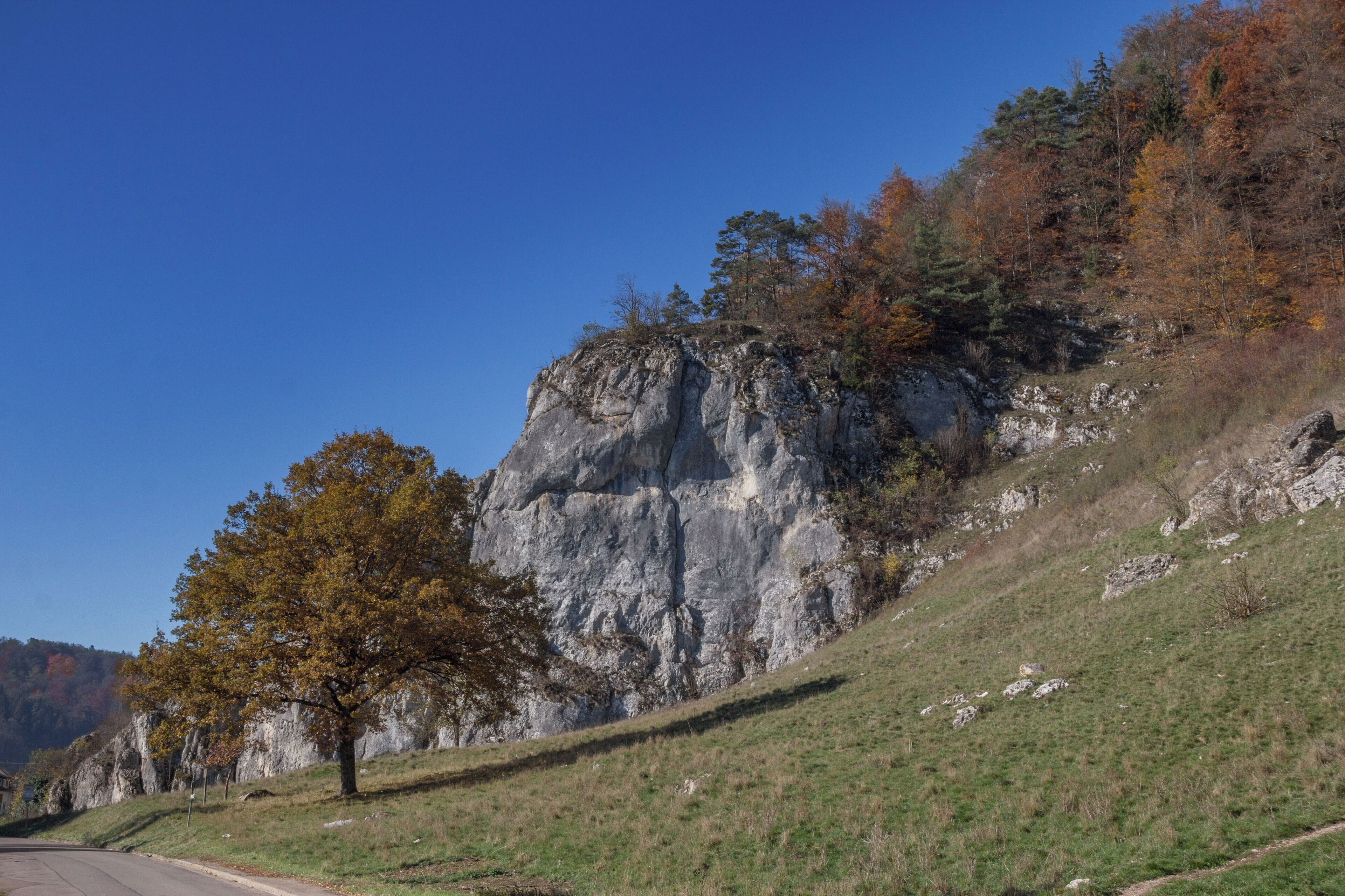 Dohlenfelsen, Geotop, Naturpark und LSG Altmühtal