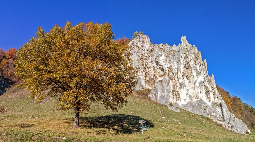 Wellheim, Dohlenstein, Geotop