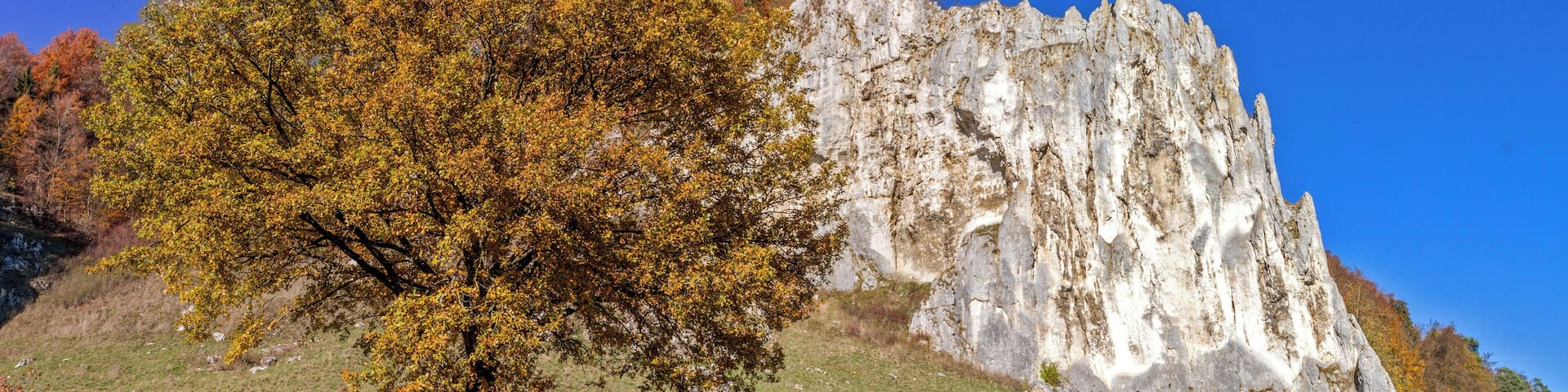 Wellheim, Dohlenstein, Geotop