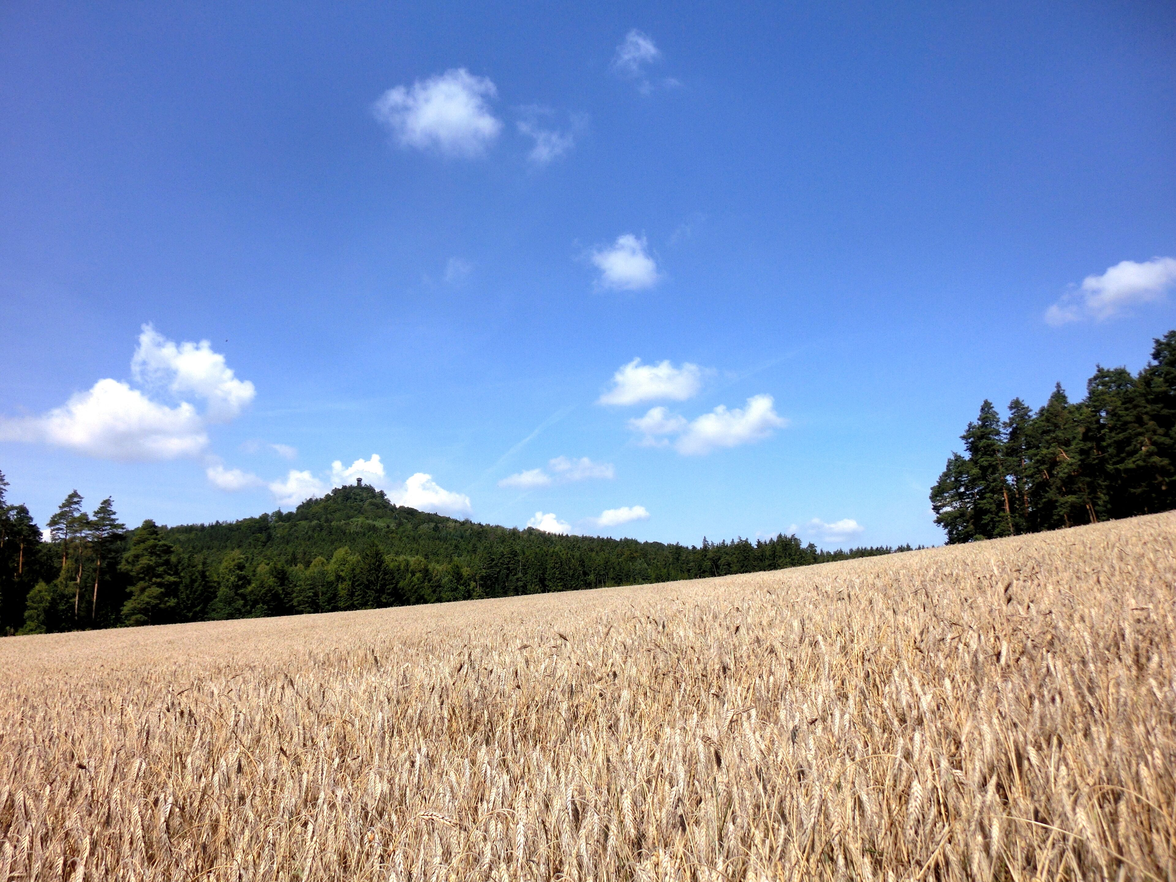 Rauher Kulm von Osten