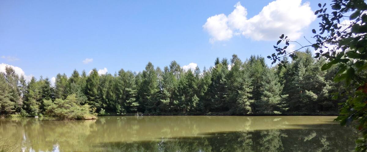 A calm lake surrounded by dense forest and a clear blue sky.