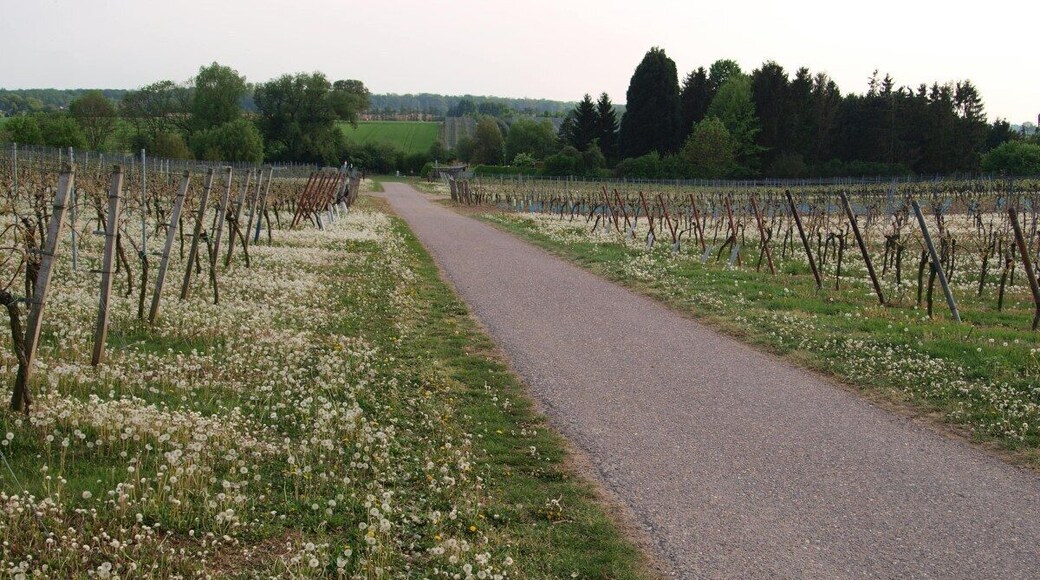 2011-04-24-173714_49,151538; 8,162138.JPG