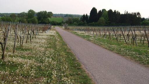 2011-04-24-173714_49,151538; 8,162138.JPG