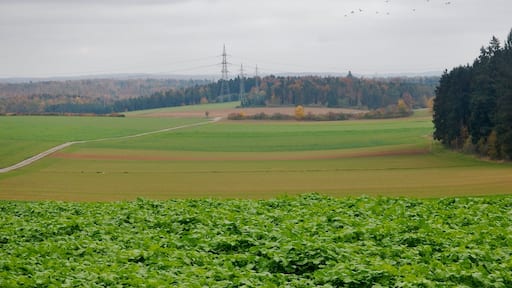 Ausblick ĂŒber die Felder in der NĂ€he von Jettingen