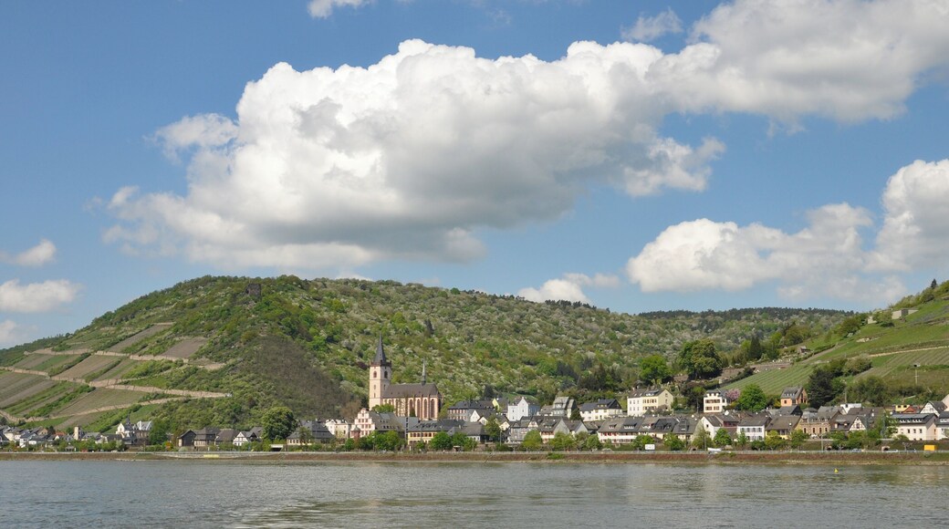 Lorch am Rhein vom Fluß aus gesehen
