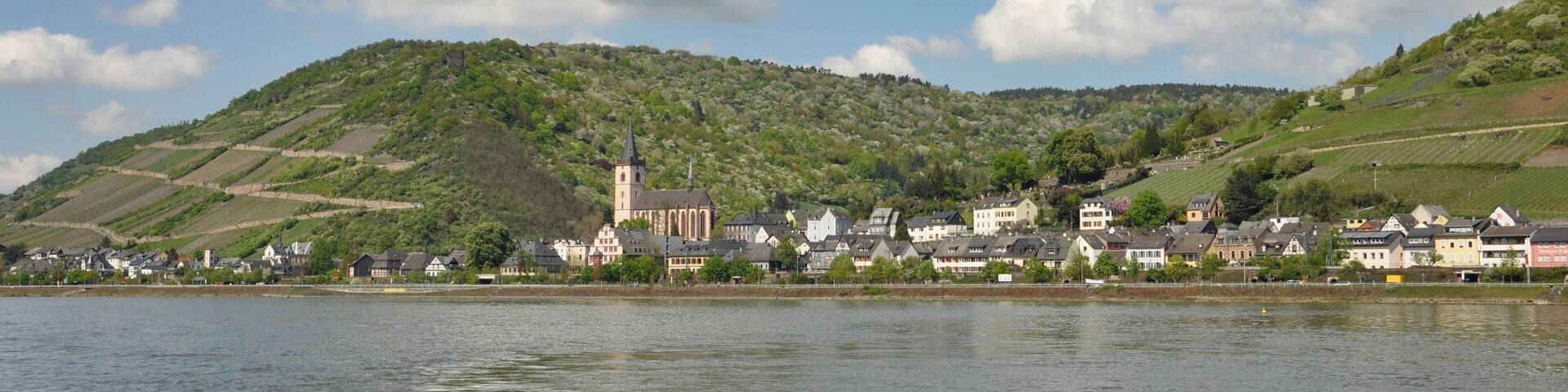 Lorch am Rhein vom FluĂ aus gesehen