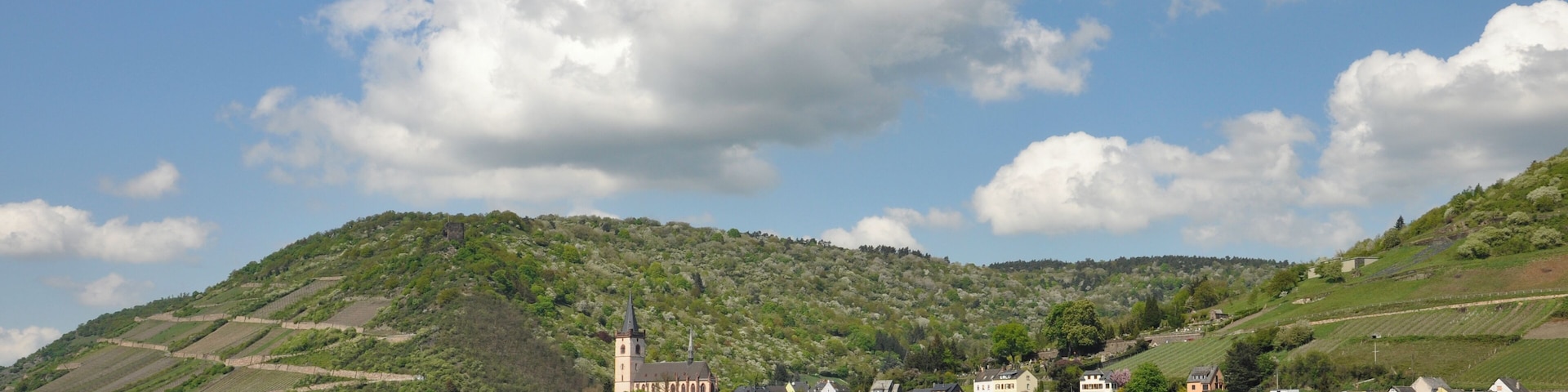 Lorch am Rhein vom FluĂ aus gesehen