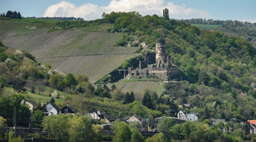 Burg Fürstenberg über Rheindiebach