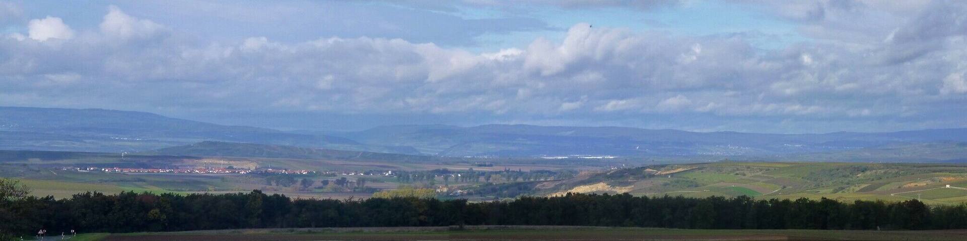 Rheinhessen-Panorama von Wöllstein zum Windpark Gau-Bickelheim