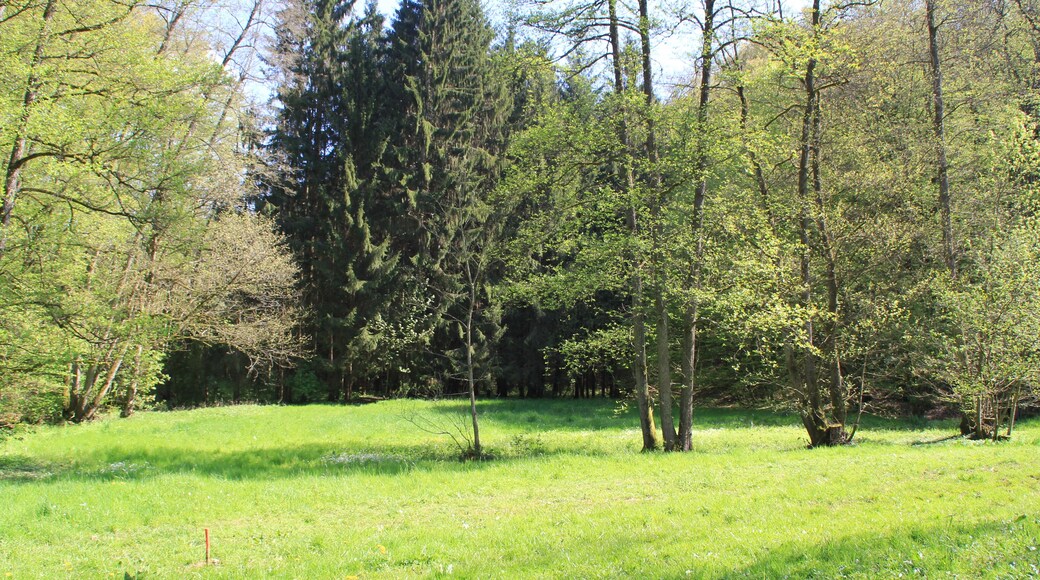 Der Teufelsgrund in der Nähe der Teufelsmühle