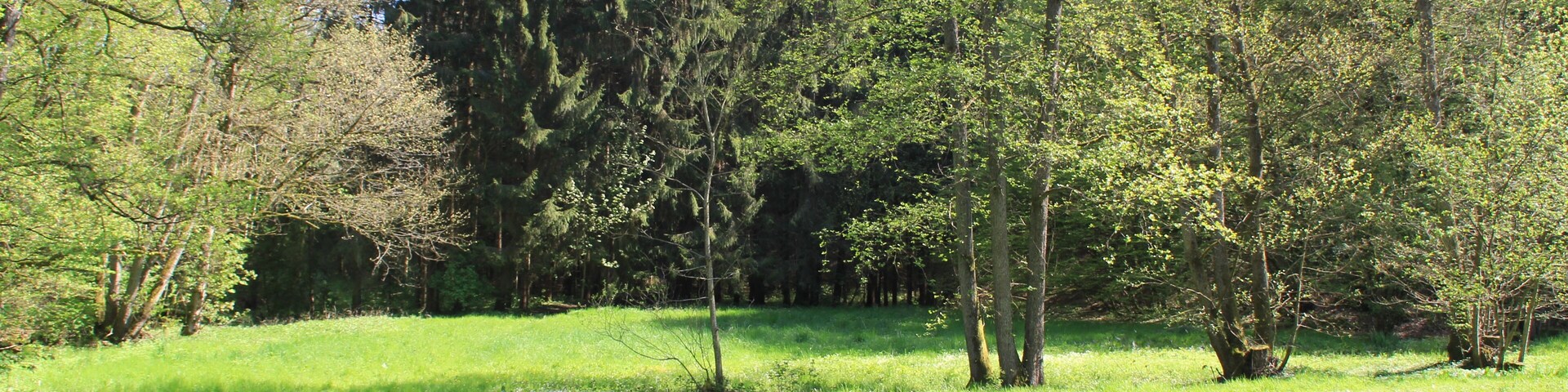 Der Teufelsgrund in der Nähe der Teufelsmühle