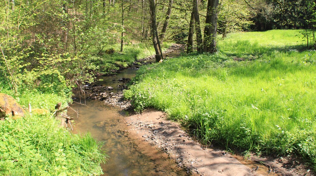 Der Geiselbach im Teufelsgrund vor der Omersbachmündung ist Grenzbach zwischen Hessen (links) und Bayern (rechts)