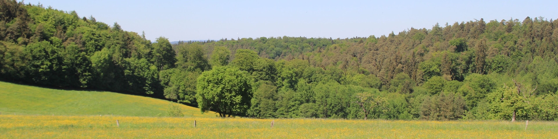 Der Rochusberg von Richtung Geiselbach aus gesehen