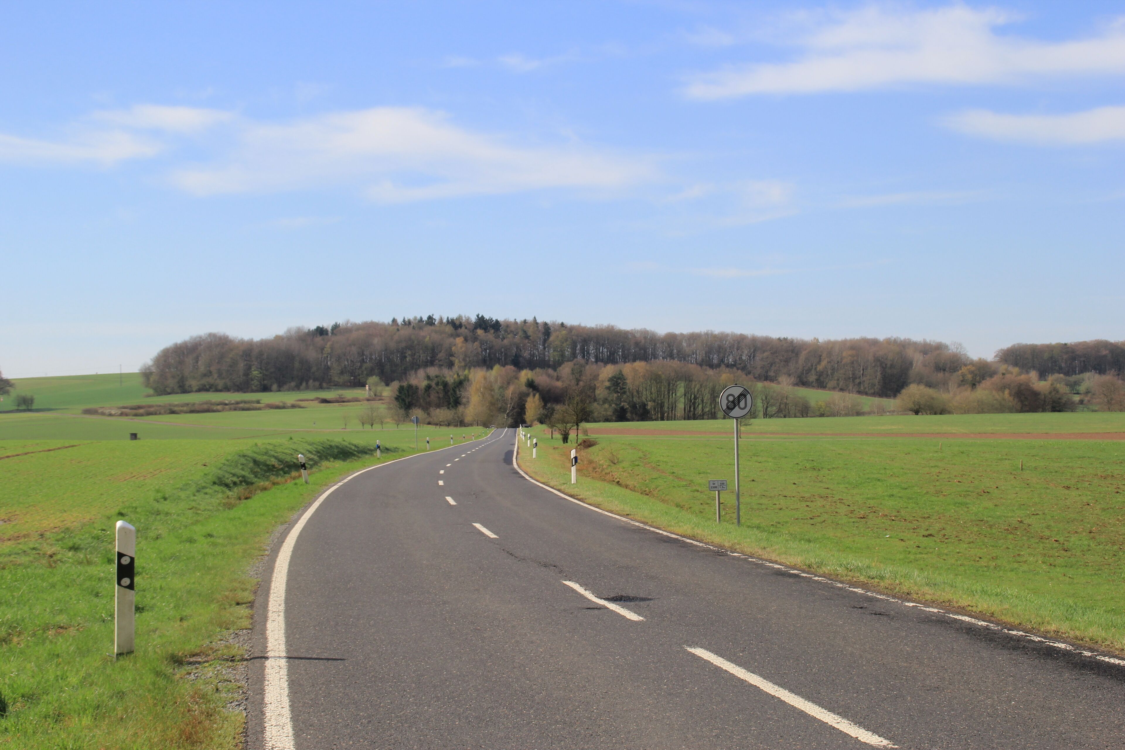 A curving road with a speed limit sign of 80, surrounded by green fields and a forested hill in the distance.