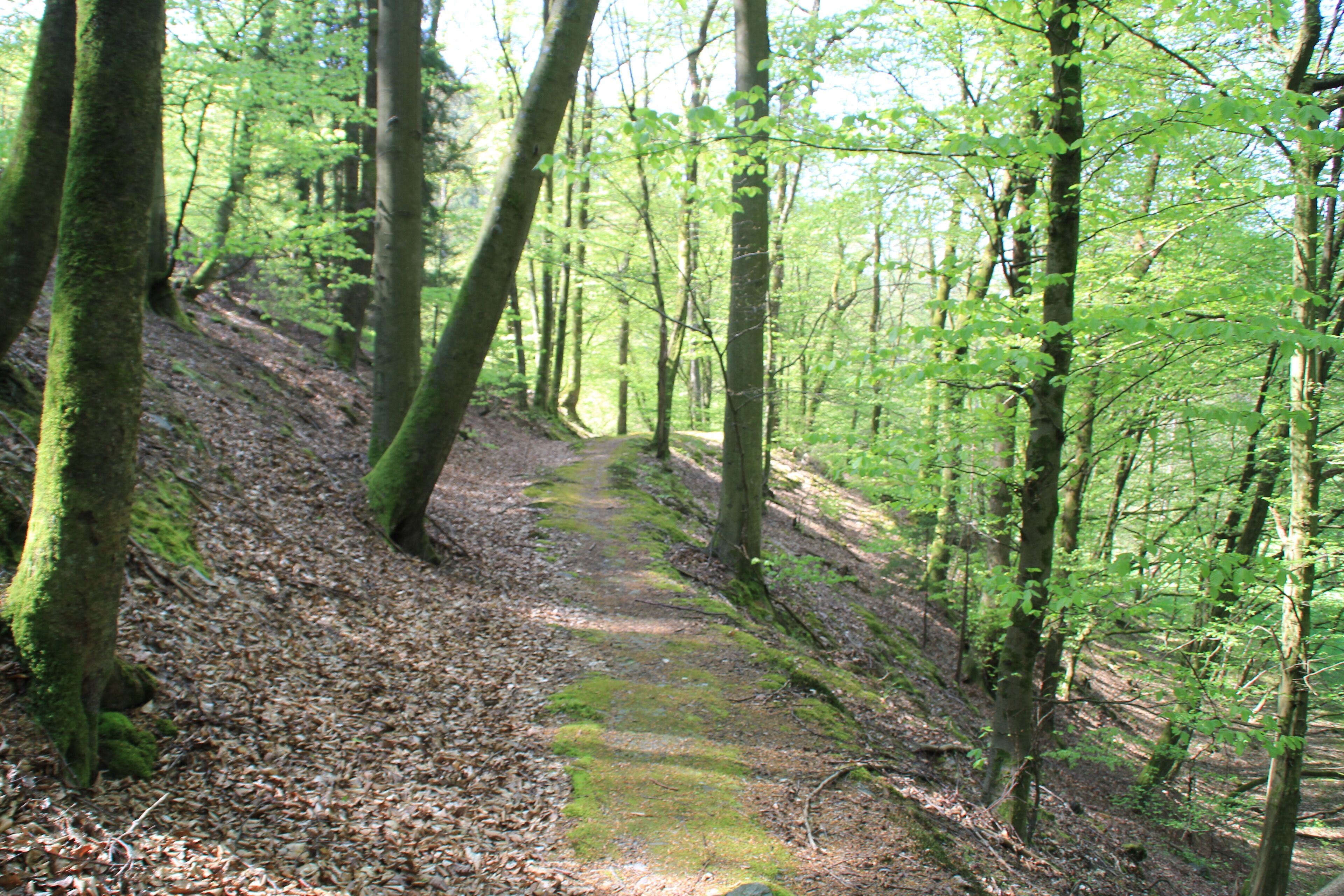 Die ehemalige Querverbindung des Geiselbaches zum Omersbach im Teufelsgrund, Bayern