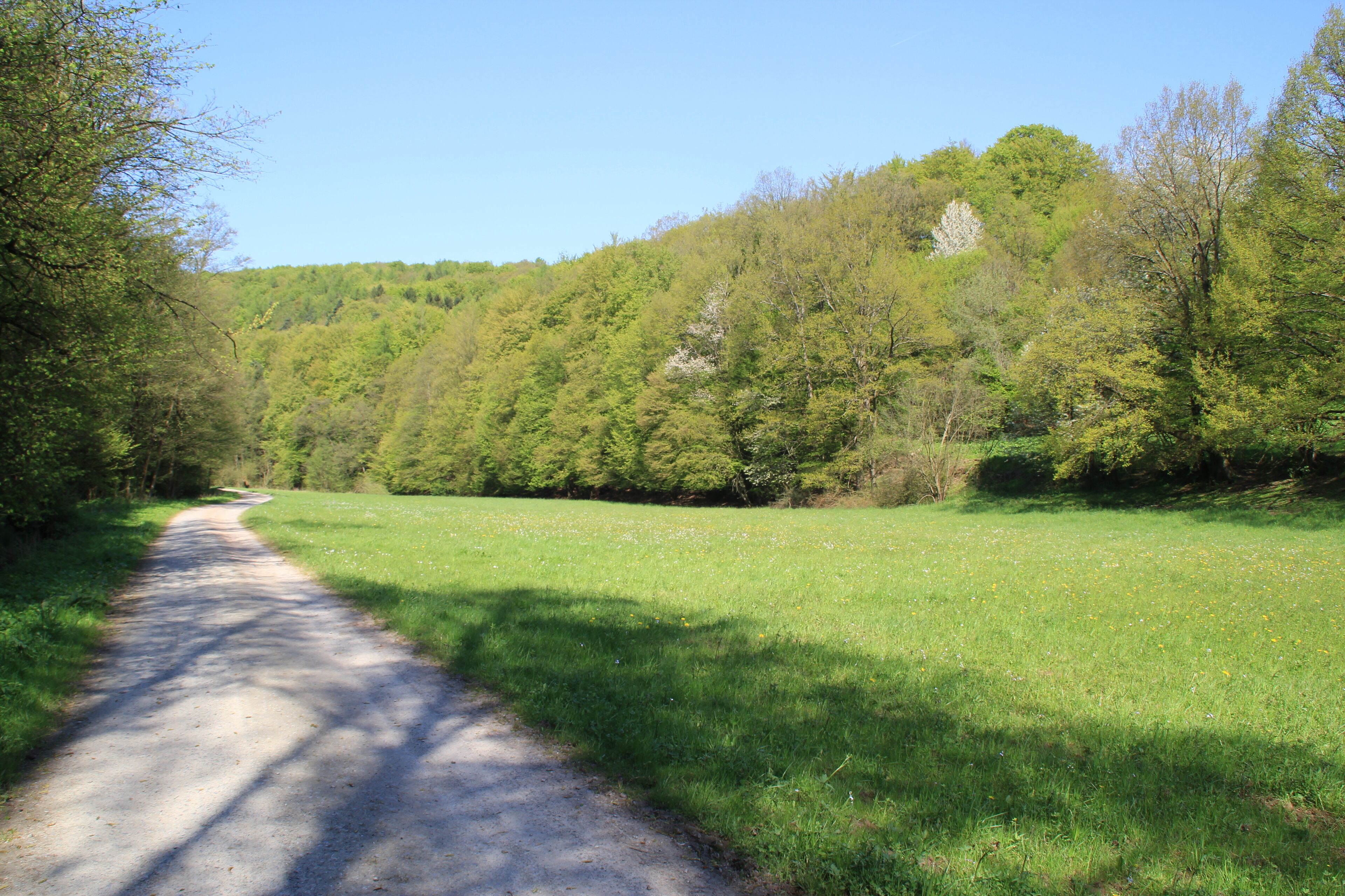 Das Tal des Omersbaches bei Omersbach in Bayern