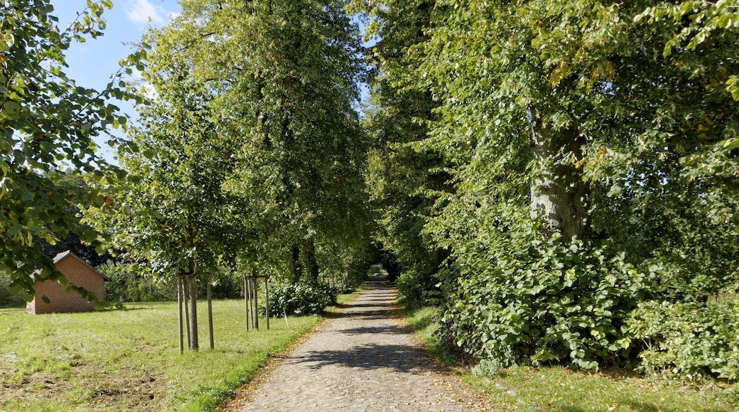 Felm, Gut Rathmannsdorf