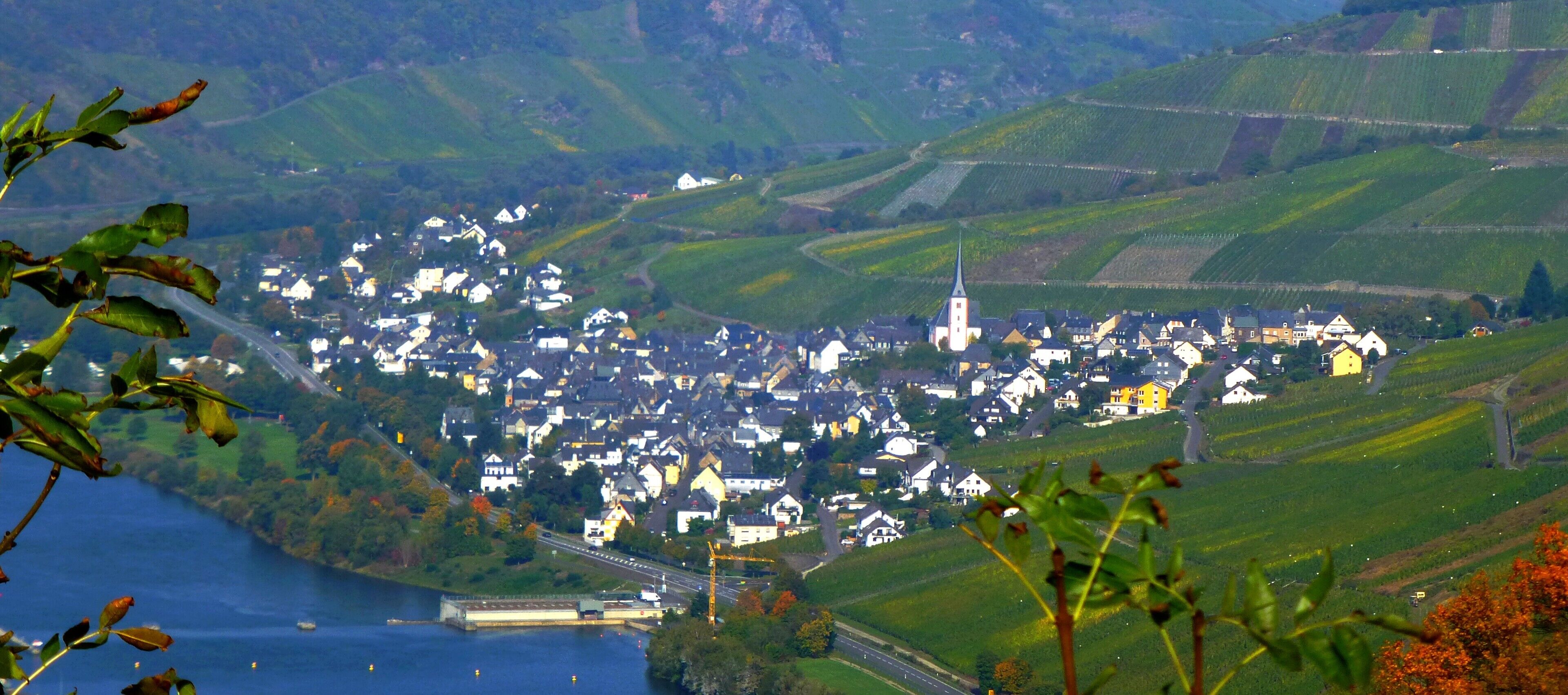 Starkenburg – Blick vom Weinhaus „Schöne Aussicht“ auf Enkirch mit Moselschleuse