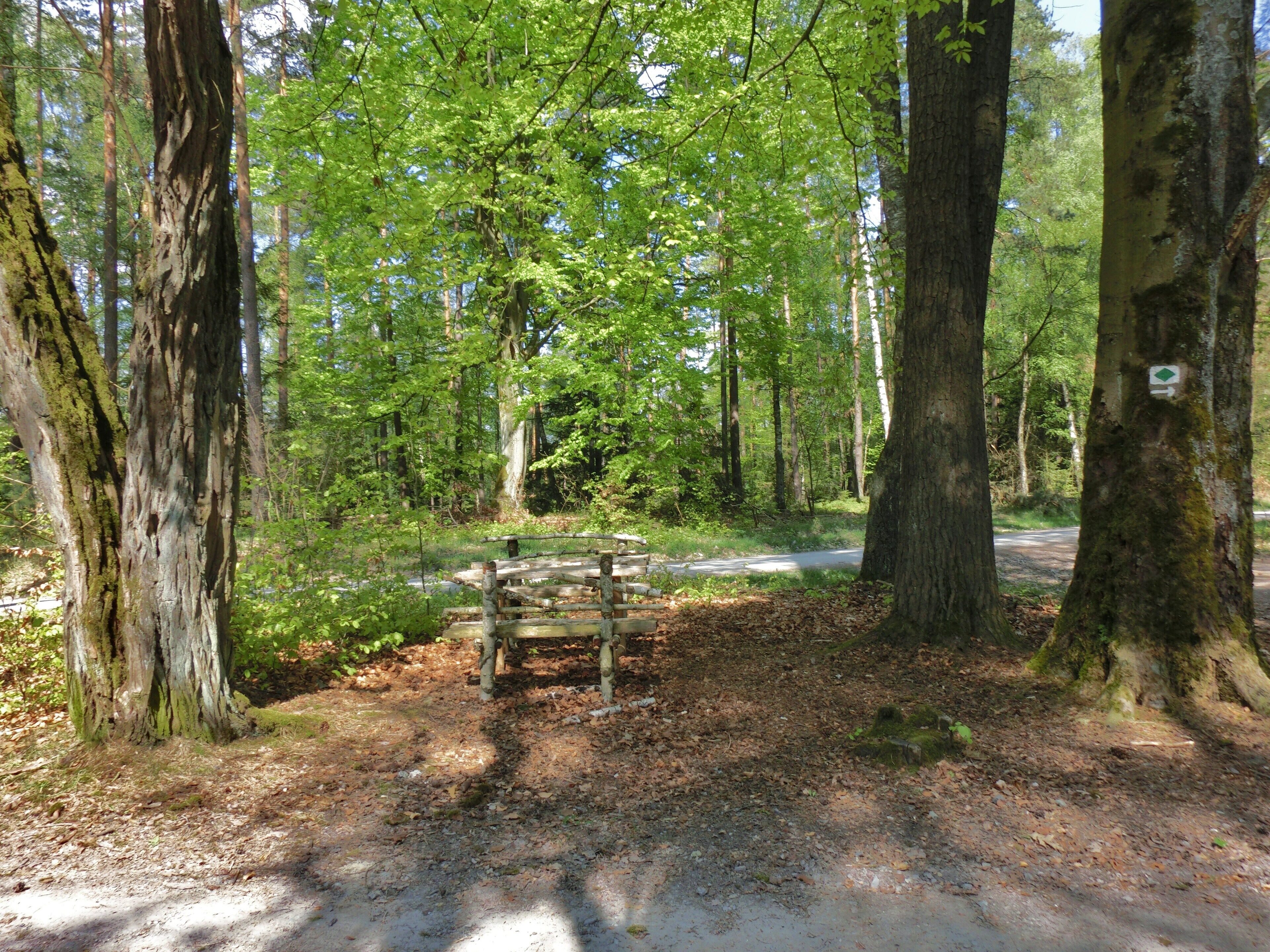 Rastplatz im Heinersreuther Forst