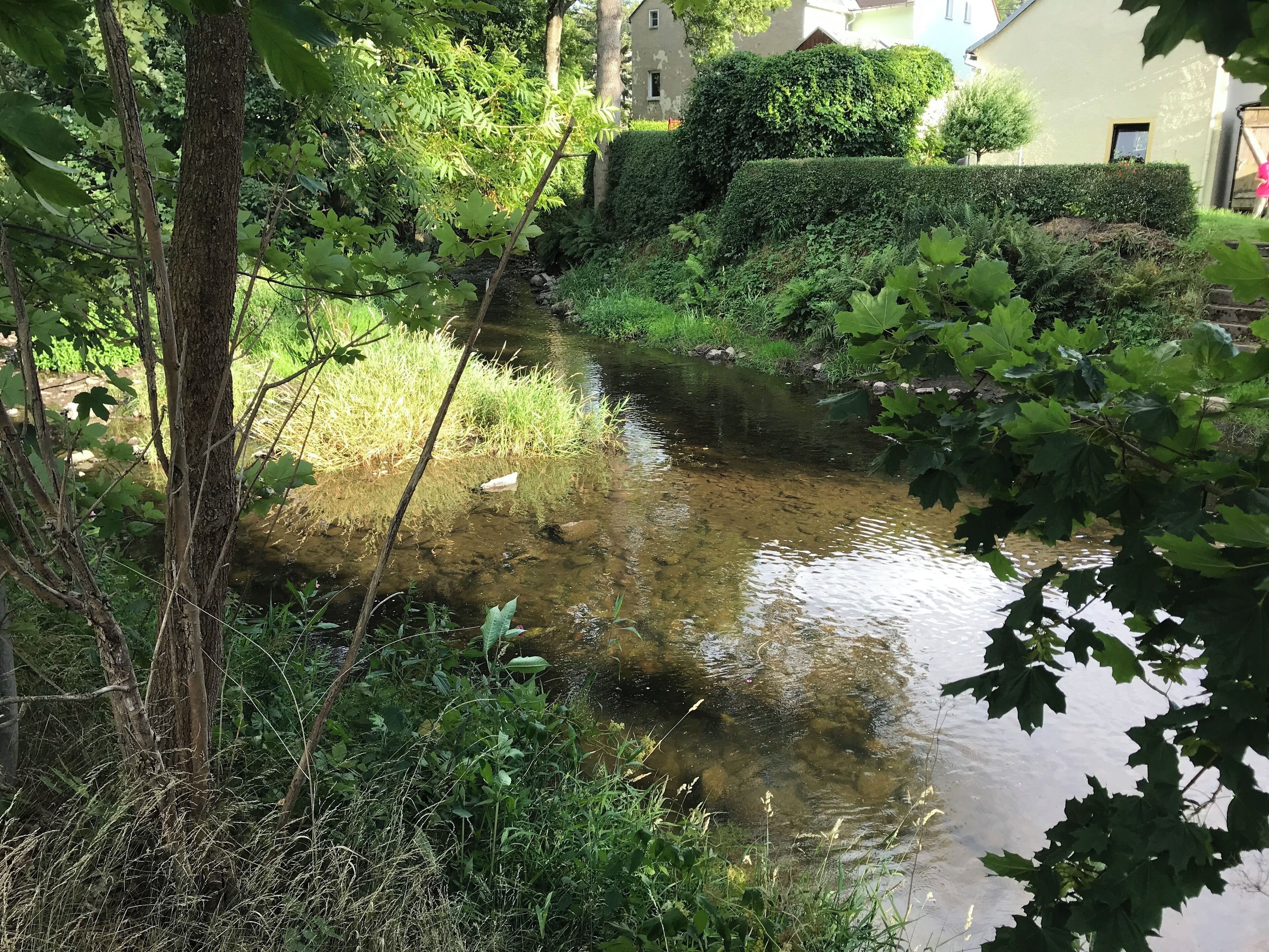 Chemnitzbach, Mündung in die Freiberger Mulde in Mulda/ Sachsen