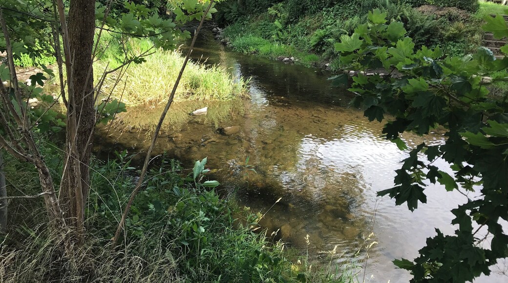 Chemnitzbach, Mündung in die Freiberger Mulde in Mulda/ Sachsen