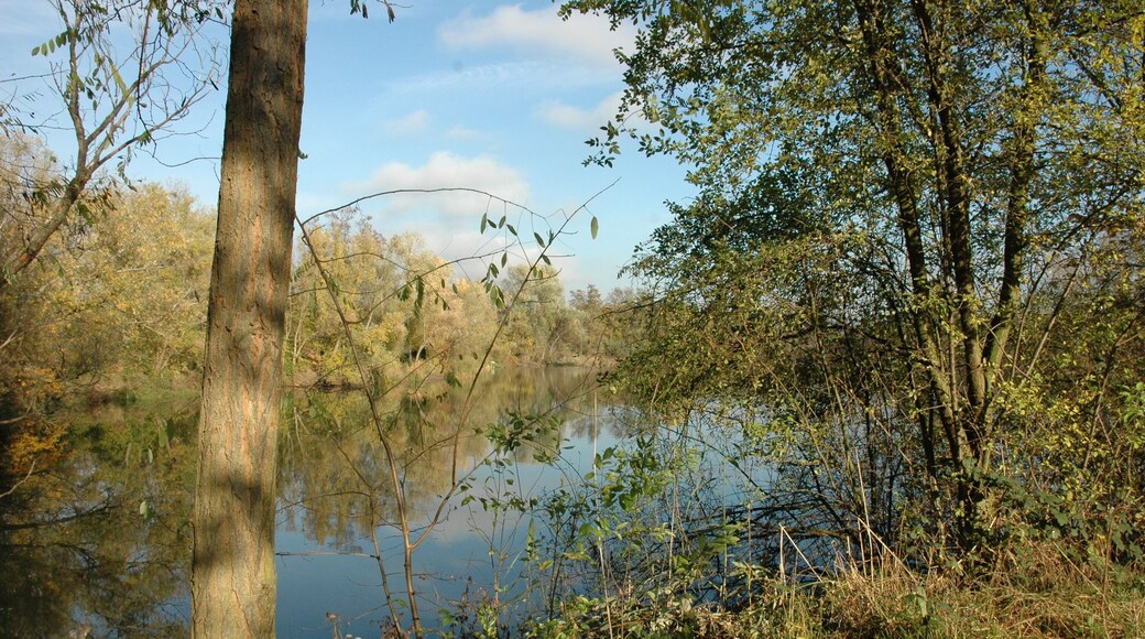 Lake "Silbersee", 65462 Ginsheim-Gustavsburg, Germany