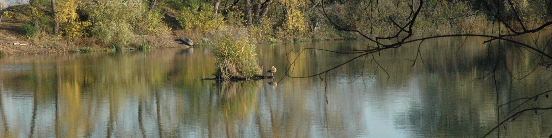 Lake "Silbersee", 65462 Ginsheim-Gustavsburg, Germany