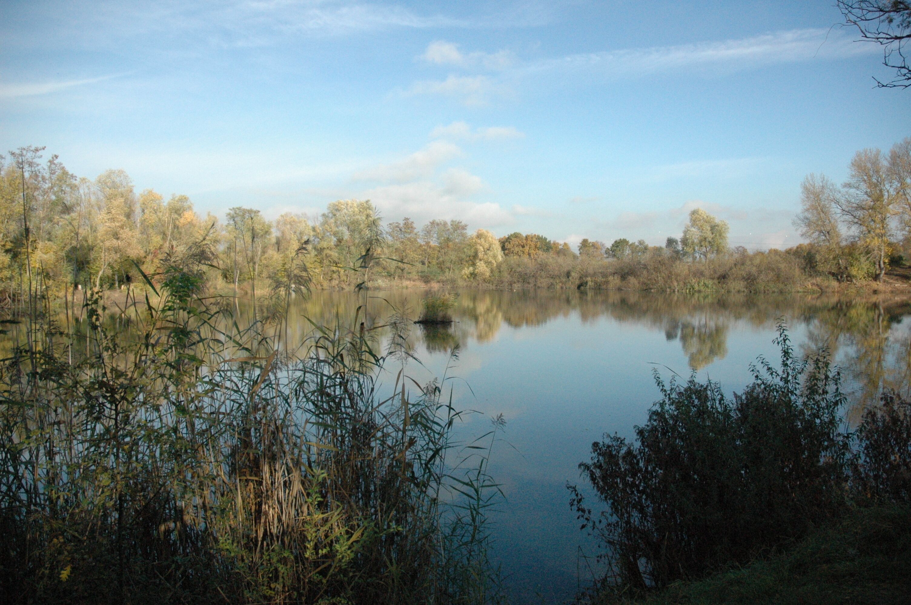 Lake "Silbersee", 65462 Ginsheim-Gustavsburg, Germany