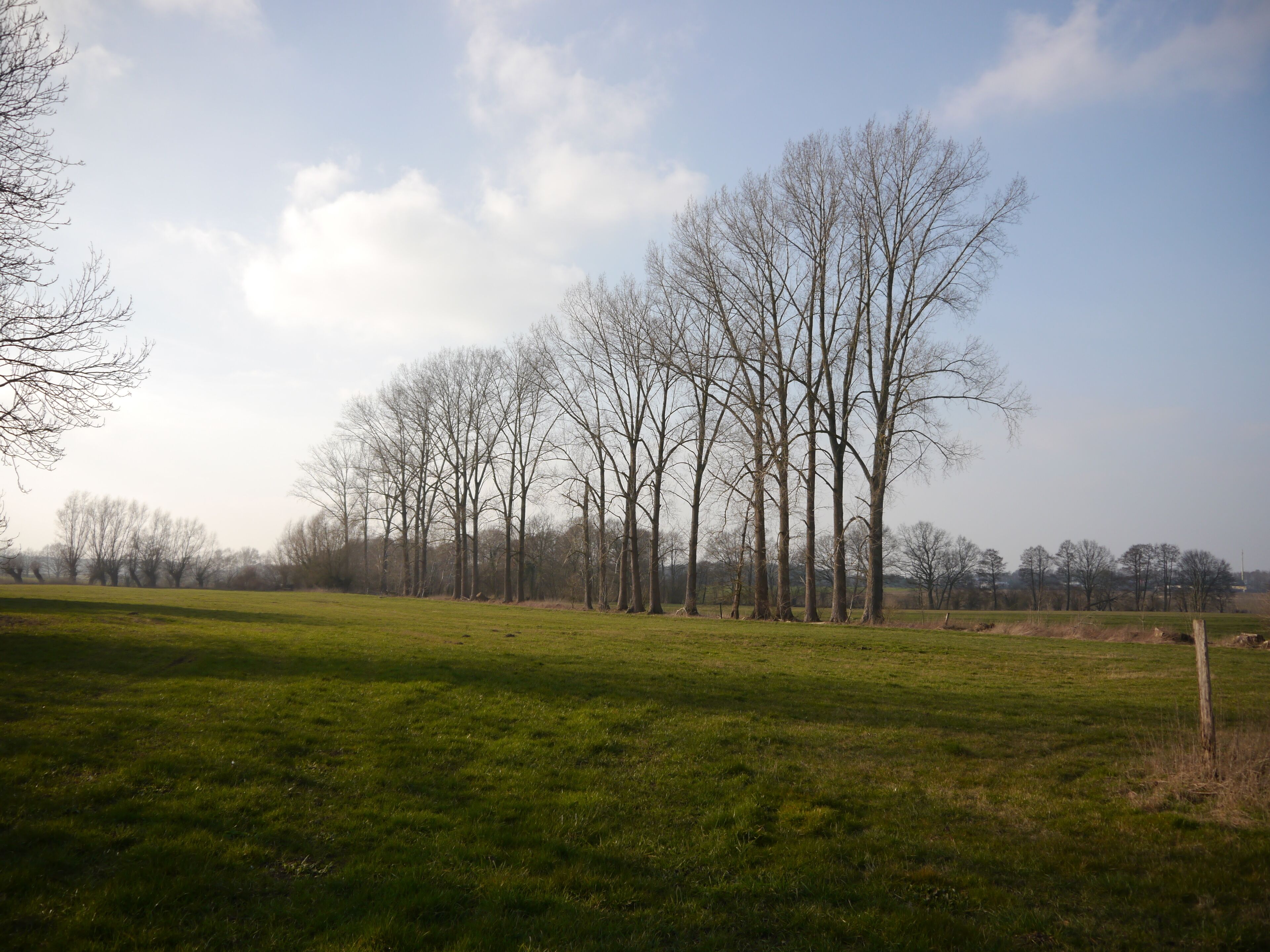 The landscape northwest of Stolpe, Parchim seen from Am Ring.