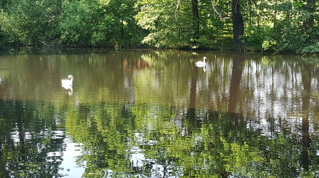 Hopfenbachtal. Schloßpark Naunhof. FHH-Gebiet: Hopfenbachtal, Gebietsnummer 4747-301. Landschaftsschutzgebiet.