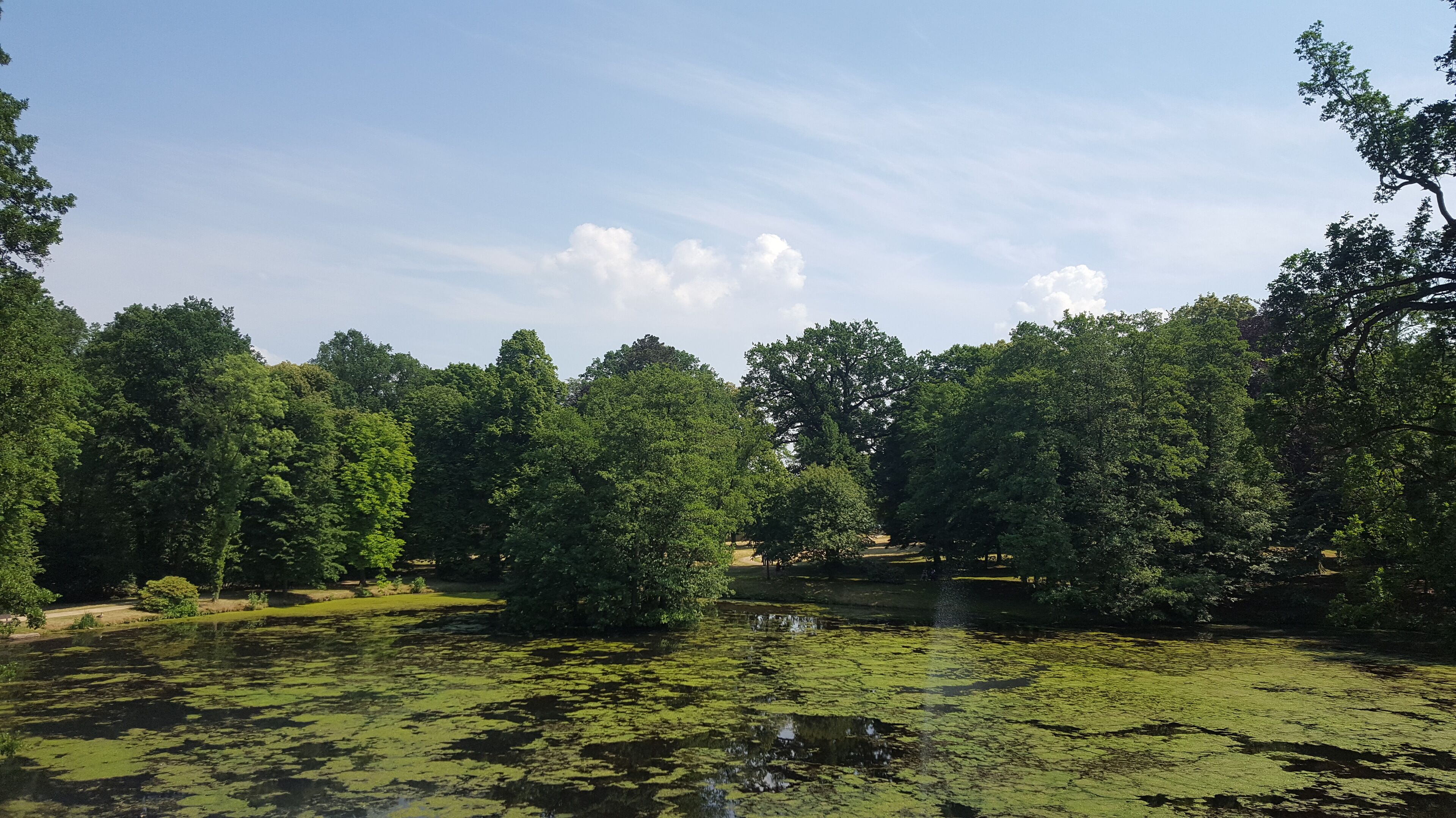 Hopfenbachtal. Schloßpark Lauterbach bei Ebersbach. FHH-Gebiet: Hopfenbachtal, Gebietsnummer 4747-301. Landschaftsschutzgebiet.