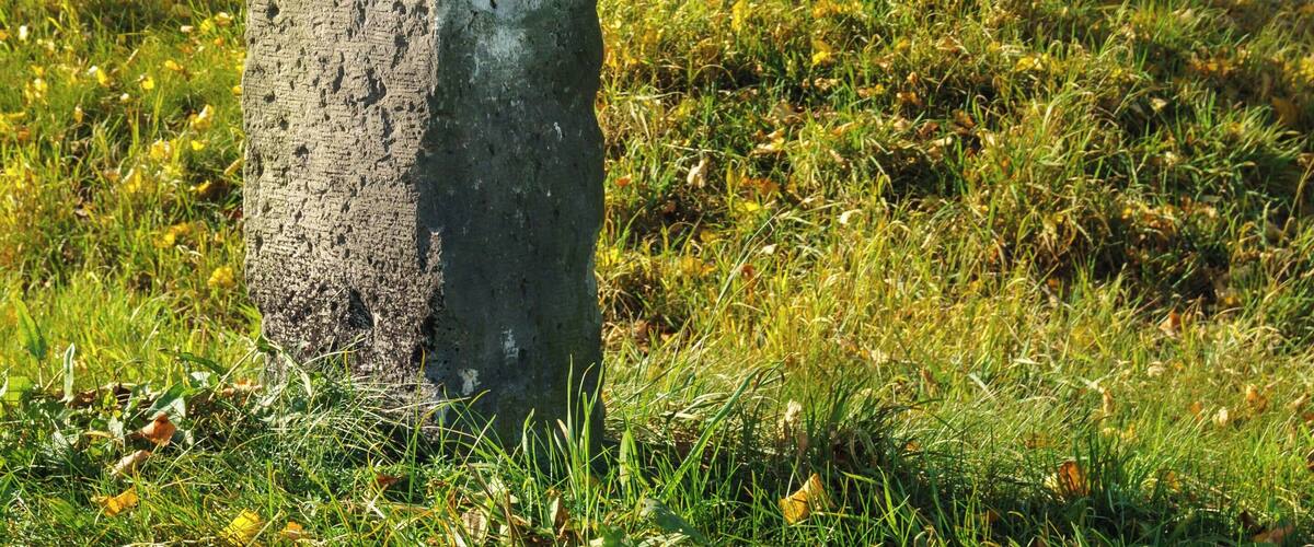 A stone monument with inscriptions in a rural setting.